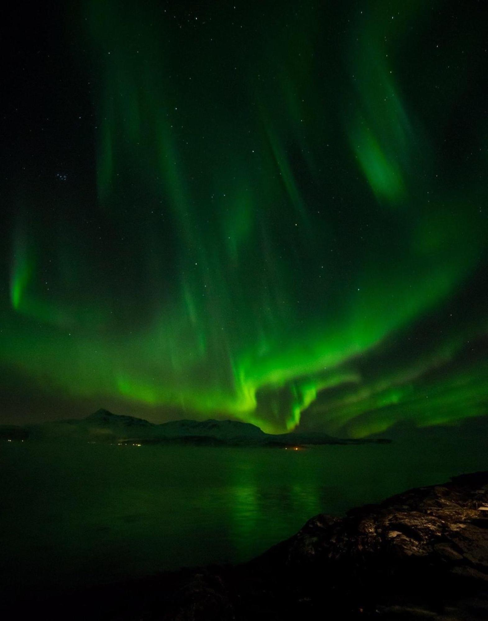 Elegant Center Of Tromsø